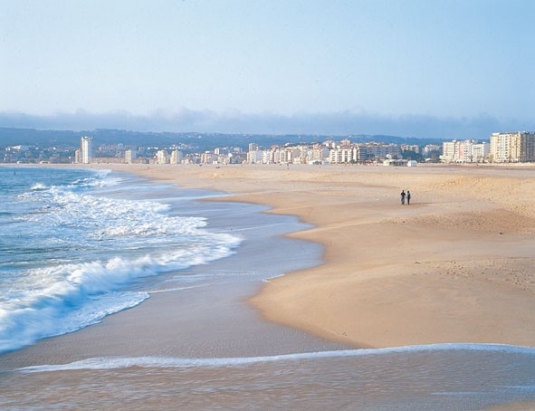 Figueira